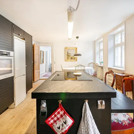 Apartment Classic Danish Design In City Center *
