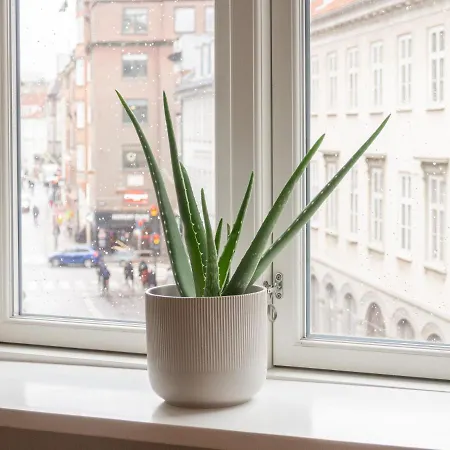 Classic Danish Design In City Center Copenhagen